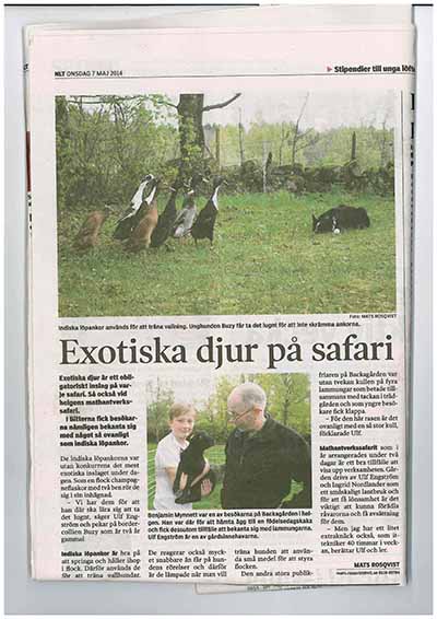 Exotiska djur, thumbnail